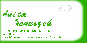 anita hanuszek business card